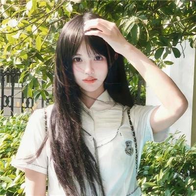 玫瑰的故事