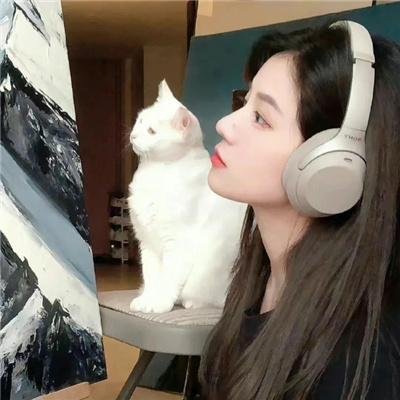 伪装者